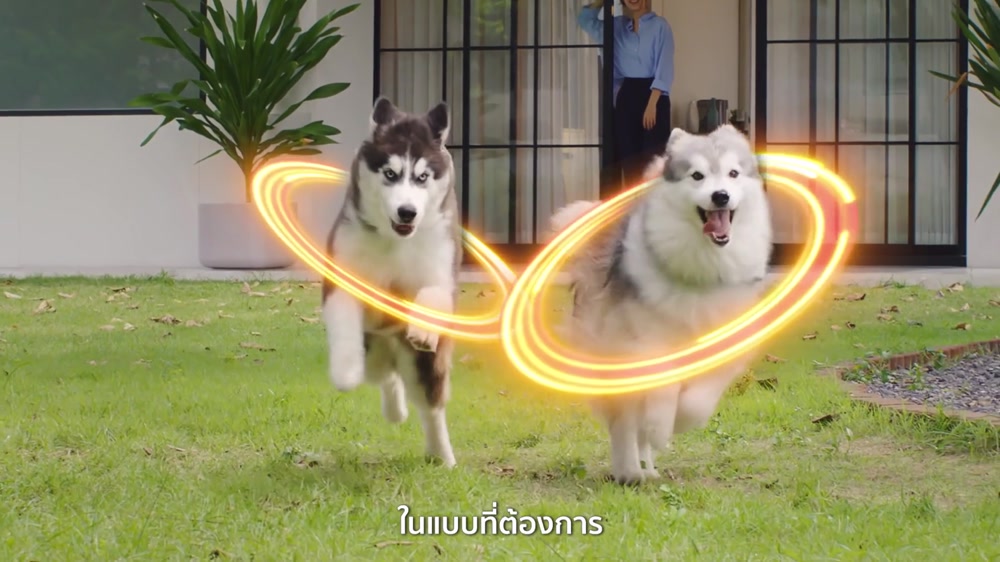 Spectra For Dog - ครบกว่า