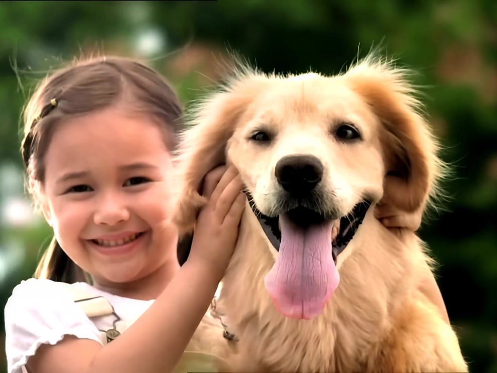 Pedigree - Olive
