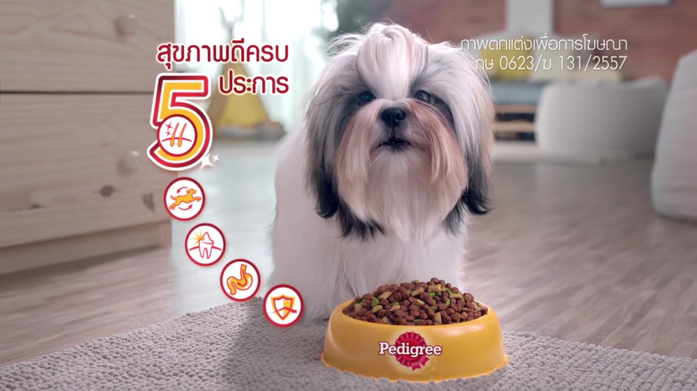 Pedigree - Small Breed