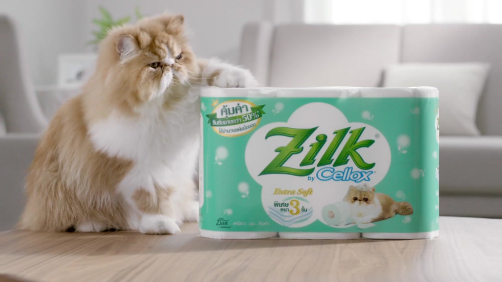 Zilk