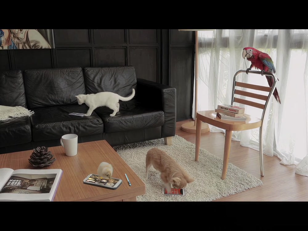 Samsung - Animal Band