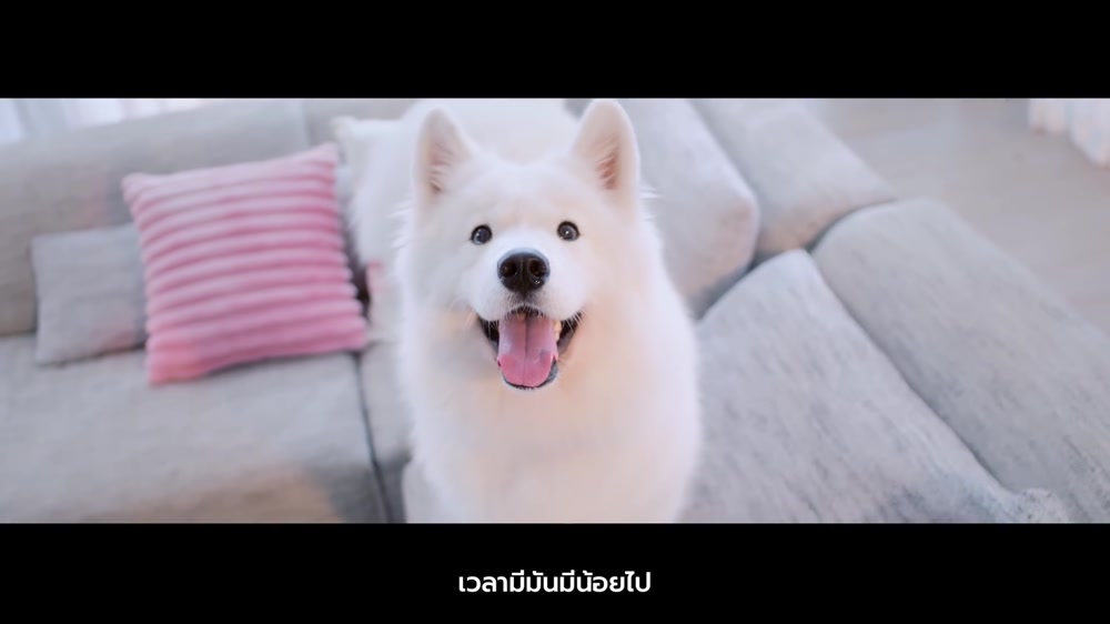 ChangeTer - MV